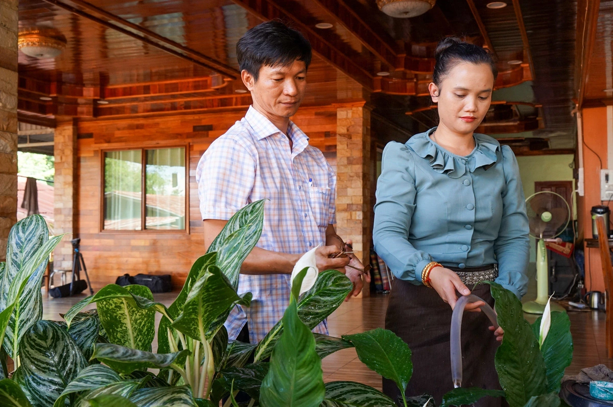 Kỳ tích cao su Việt trên nước bạn Lào - Kỳ 6: Chuyện tình đẹp Việt - Lào dưới đại ngàn cao su